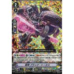 D-VS04/040 Beast Deity, Black Tortoise