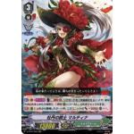 V-EB10/008 Peony musketeer Martina RRR