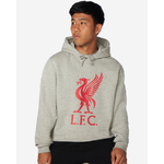 เสื้อฮู้ดลิเวอร์พูล Liverbird สีเทาของแท้