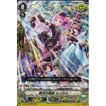 D-VS04/007 Black Spark, Munkar