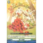 D-BT02/119 Harvest season C