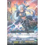V-BT10/033 Knight of Strict Order, Suels