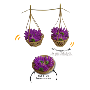 ลวด กำ มะ หยี่