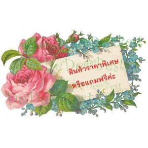 สินค้าราคาพิเศษหรือแถมฟรี : Product price or free product