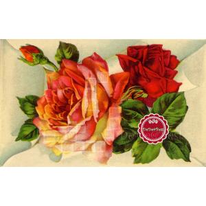 ขายแล้ว : Sold-out ❤