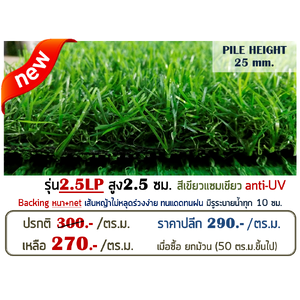 หญ้าเทียม รุ่น 2.5LP สูง 2.5 ซม.สีเขียว-เขียว