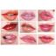 Mistine Luscious Lip Palette ลิปพาเลท เนื้อเจล มีกระจกและพู่กันในตัว 1 ตลับ ผสมเปลี่ยนสีปากได้ถึง 30 เฉดสี
