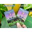 บัตรสมาชิก Member Card ระบบ ดิจิตอล เหมาะสำหรับงานด่วน จำนวนน้อย