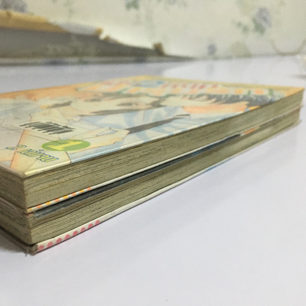 เมื่อ 2 หนุ่มมารุมรัก เล่ม 1-2 (จบ)