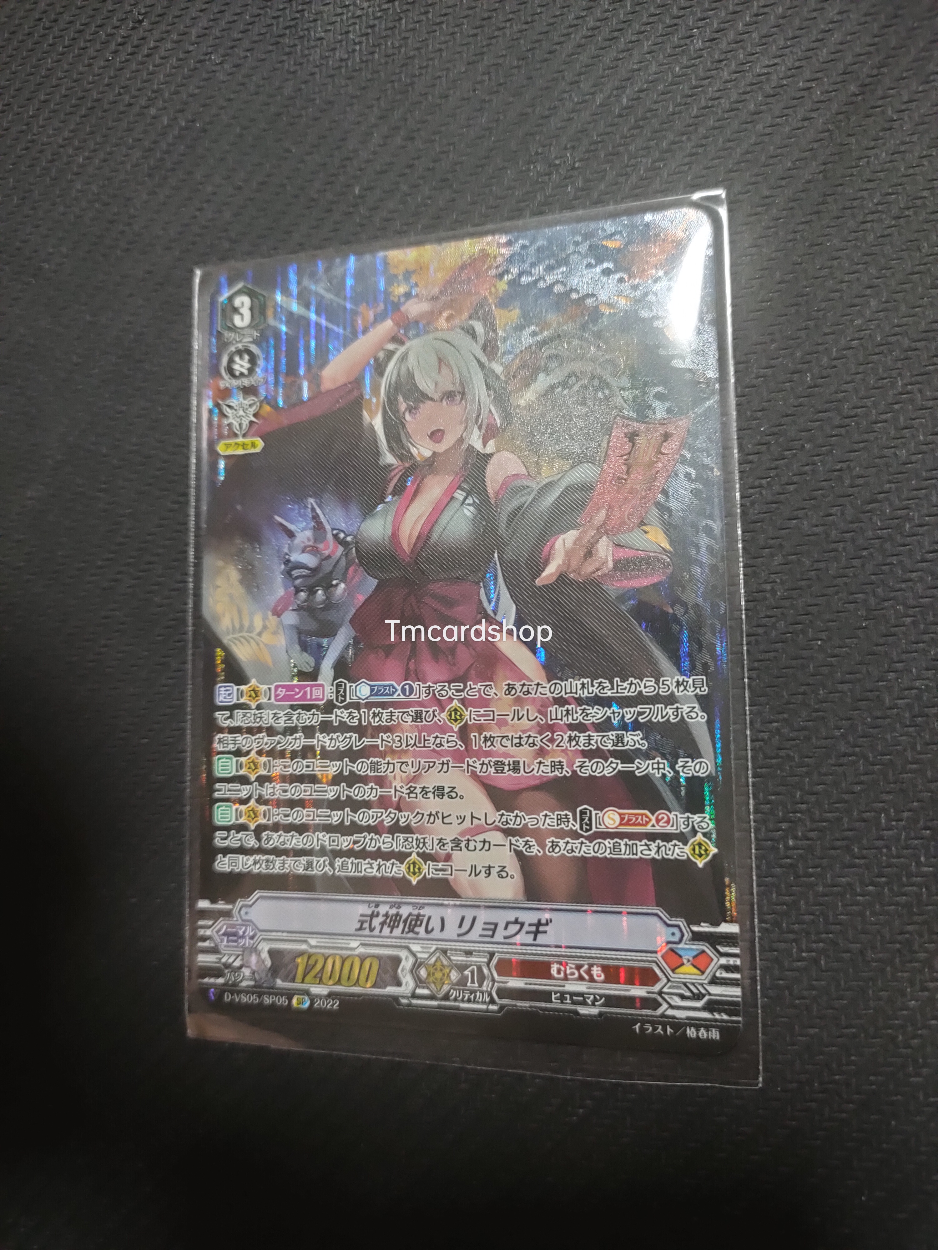 D-VS05/SP05