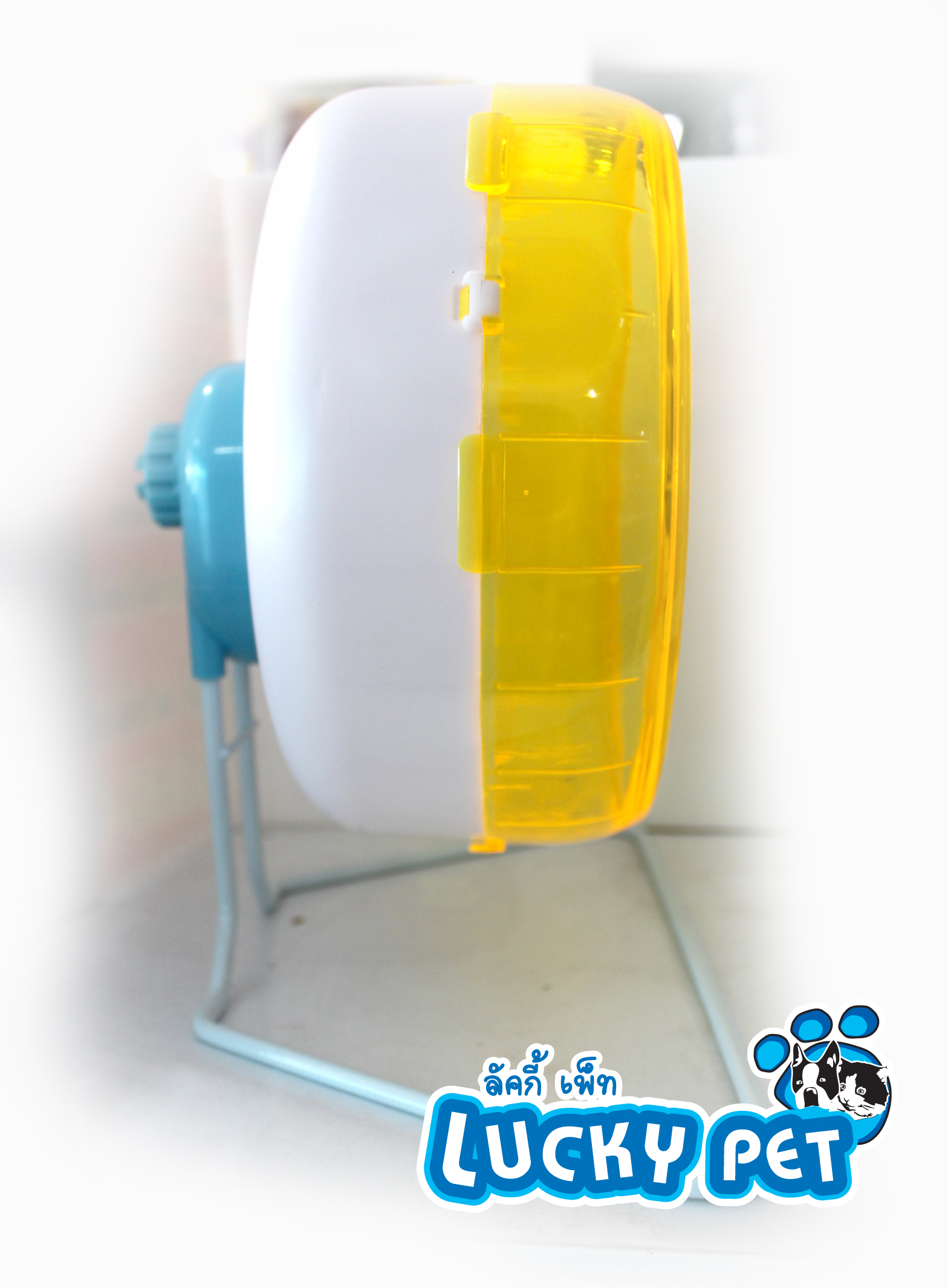 วงล้อเม่น แคระ