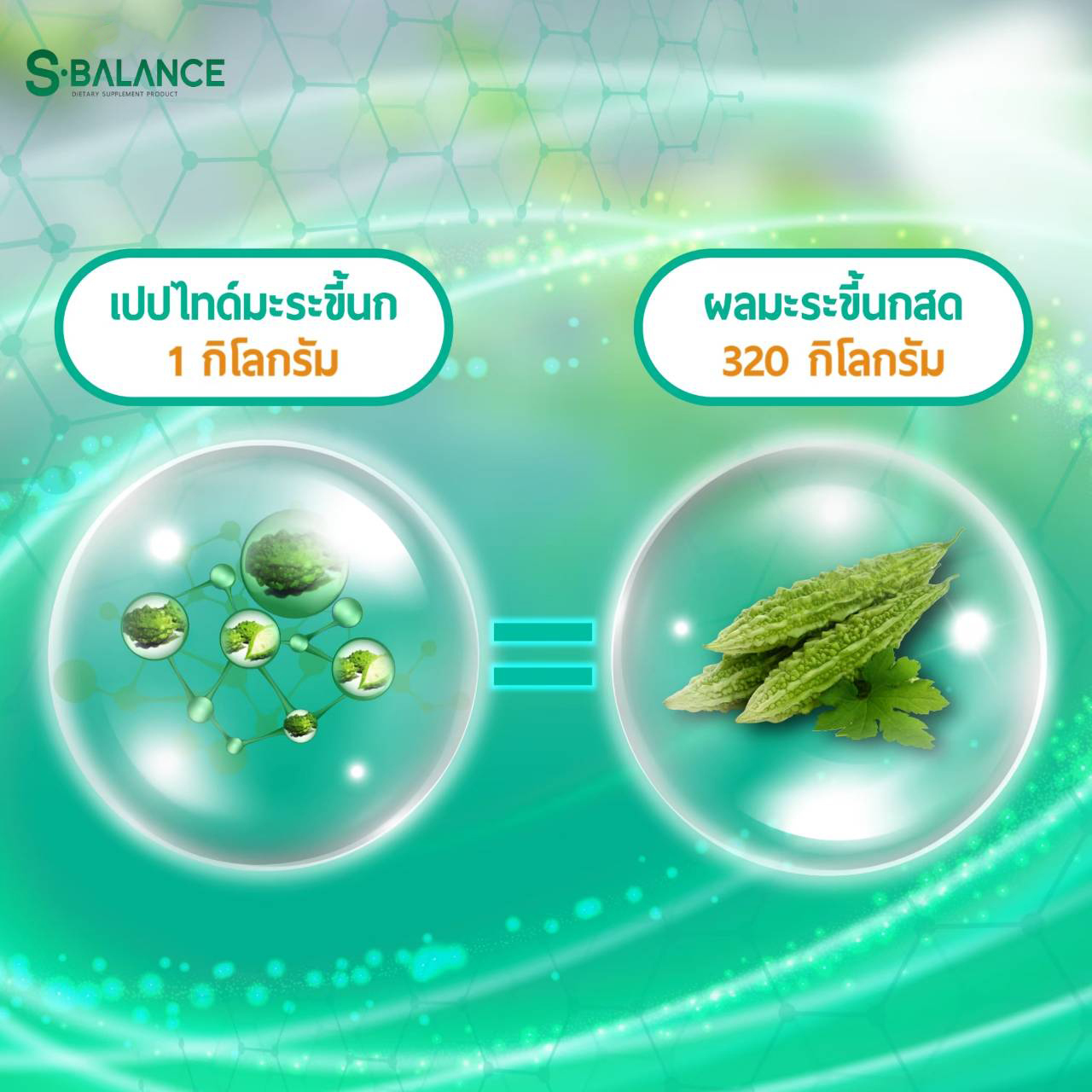 S-Balance Advanced สารสกัดเปปไทด์จากมะระขี้นก ช่วยควบคุมระดับน้ำตาลในเลือด