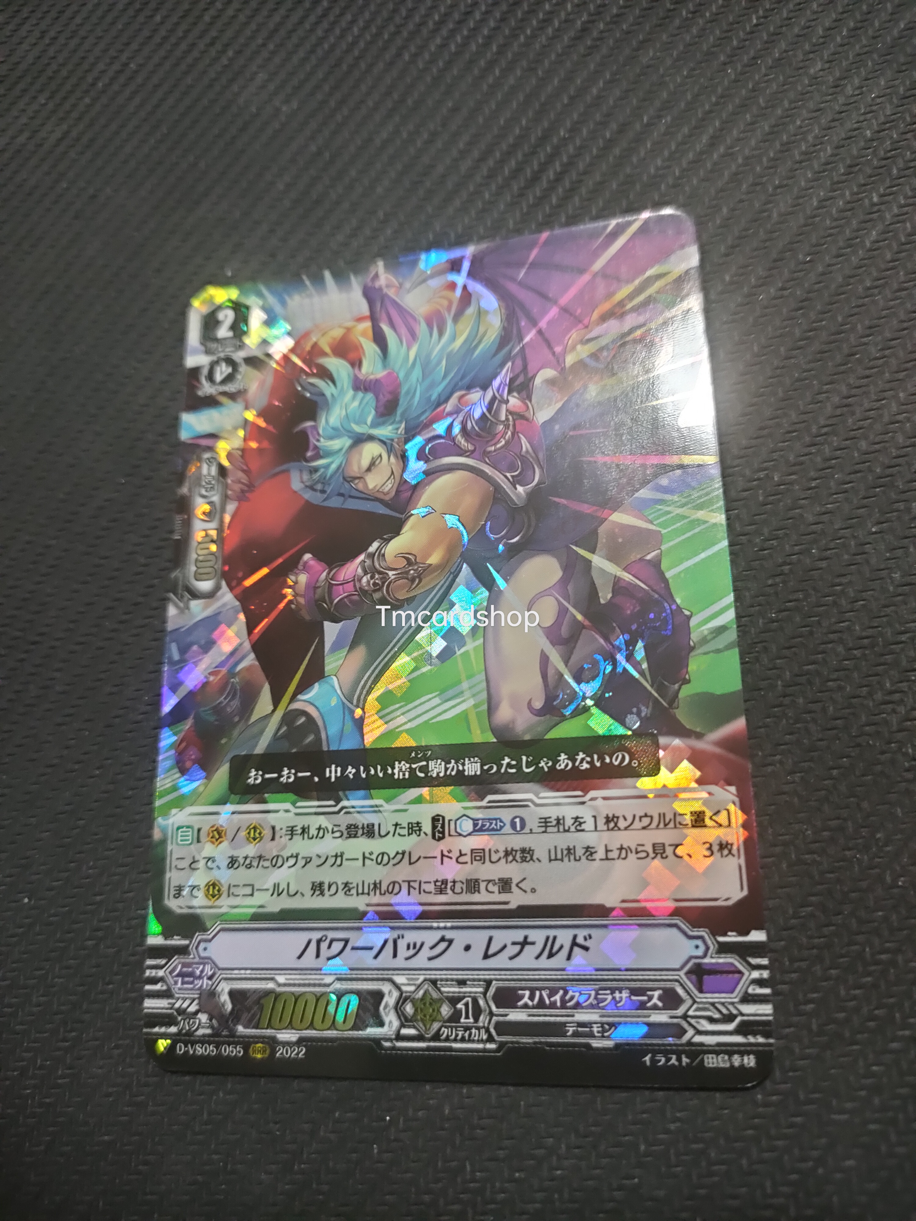 D-VS05-055 Power pack Renard