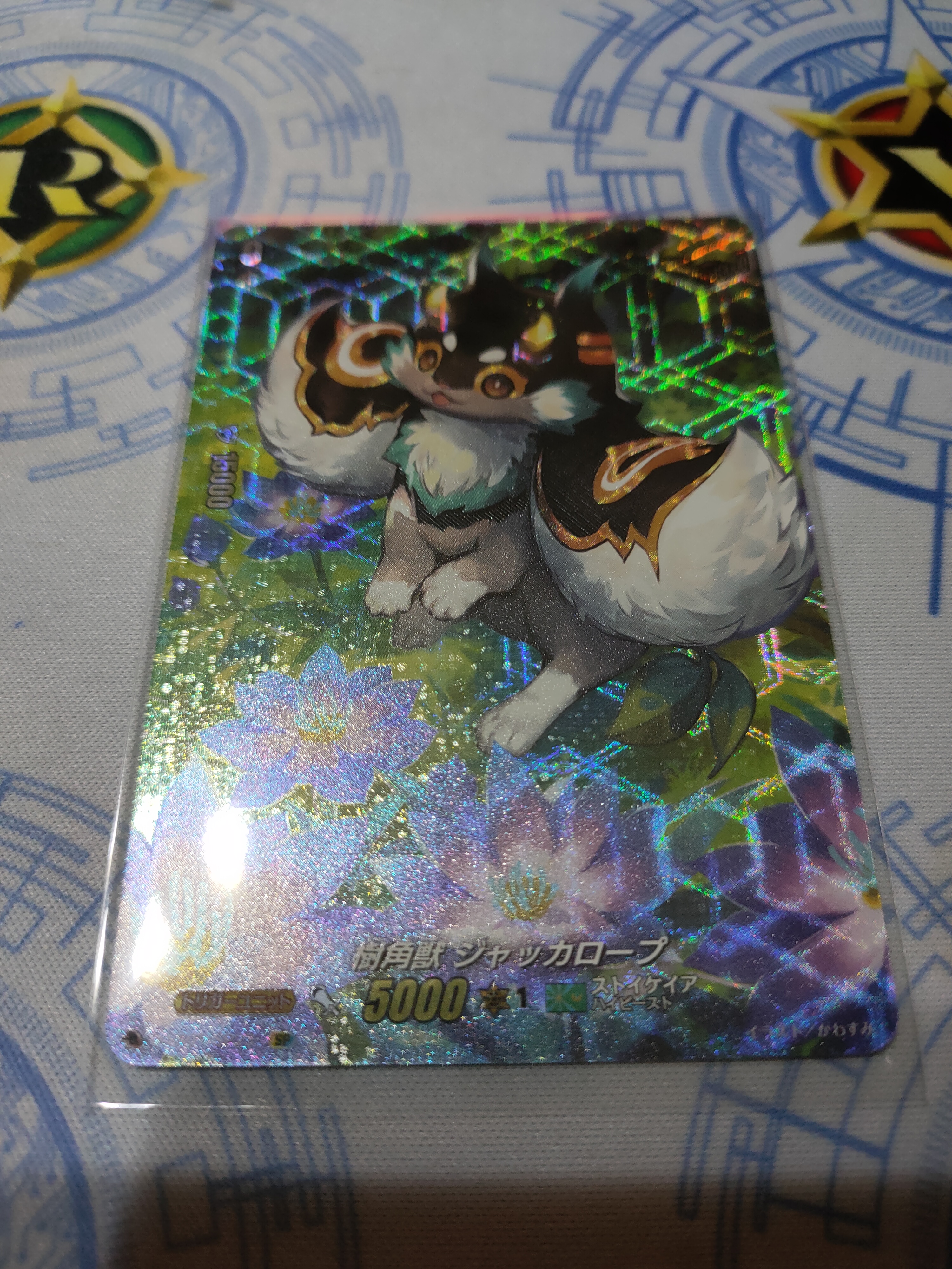 D-SS01/SP23