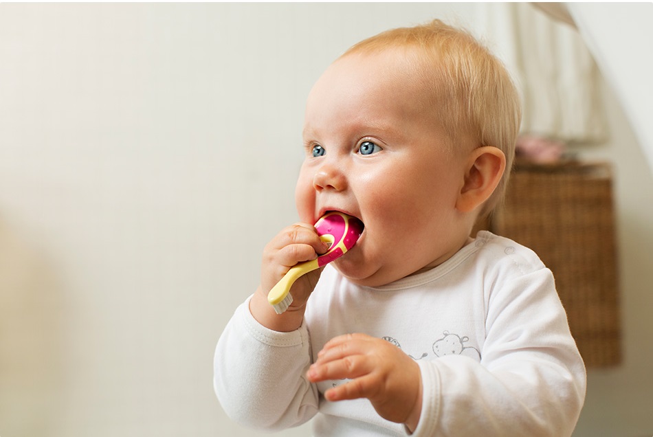 แปรงสีฟันจอร์แดน Jordan Step 1 สำหรับเด็กอายุ 0 - 2 ปี