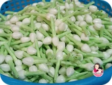มะลิทิชชู