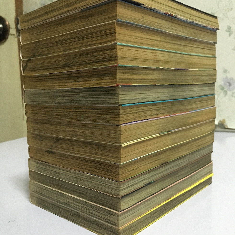 ภูตพรายกับนายหมอผี เล่ม 1-14