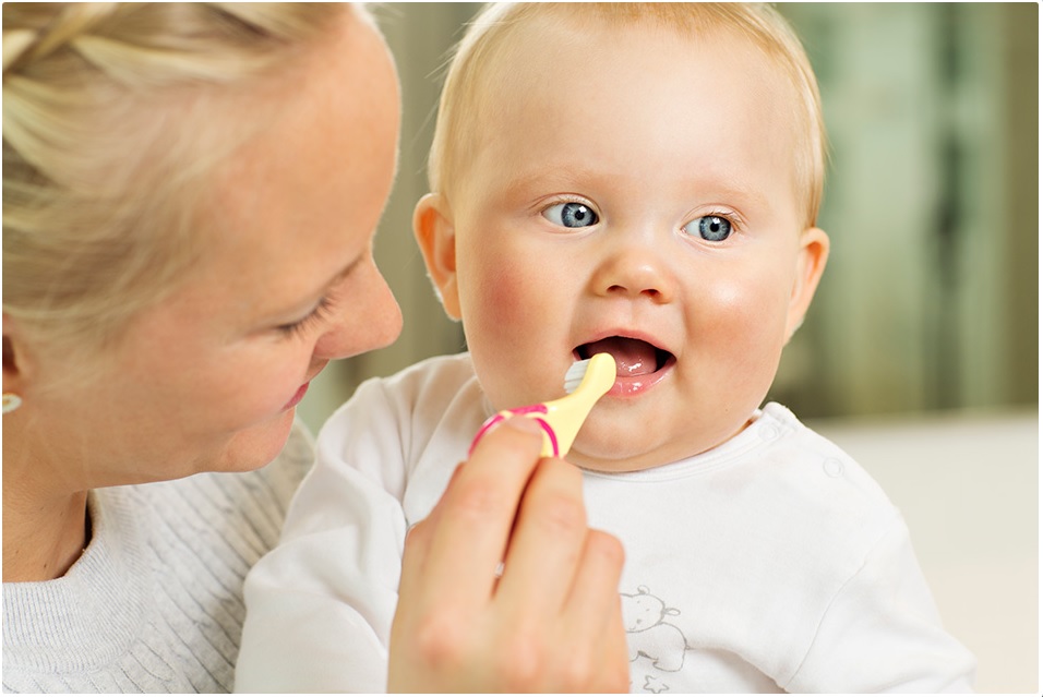 แปรงสีฟันจอร์แดน Jordan Step 1 สำหรับเด็กอายุ 0 - 2 ปี