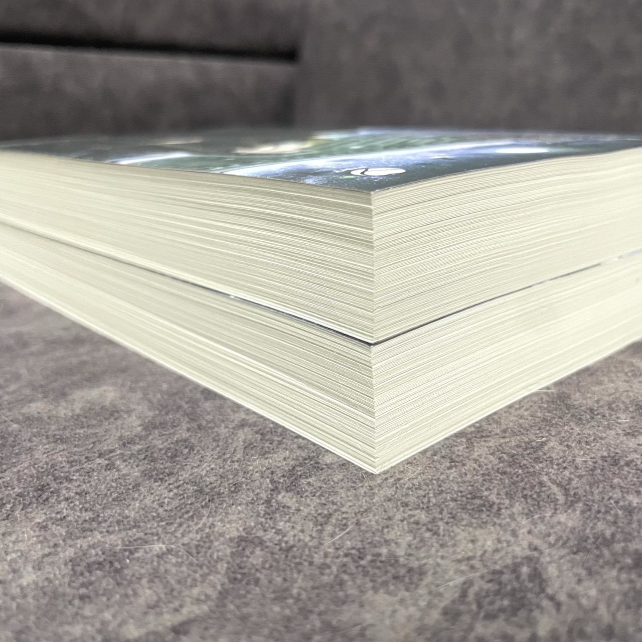 *มือสองมีตำหนิ พิมพ์หนึ่ง* เบื้องบาทข้า ใต้หล้าล้วนสยบ เล่ม 1-2 (จบ) + ป้ายยุทธภพใต้หล้าล้วนสยบ + การ์ดลายเซ็นนักเขียน