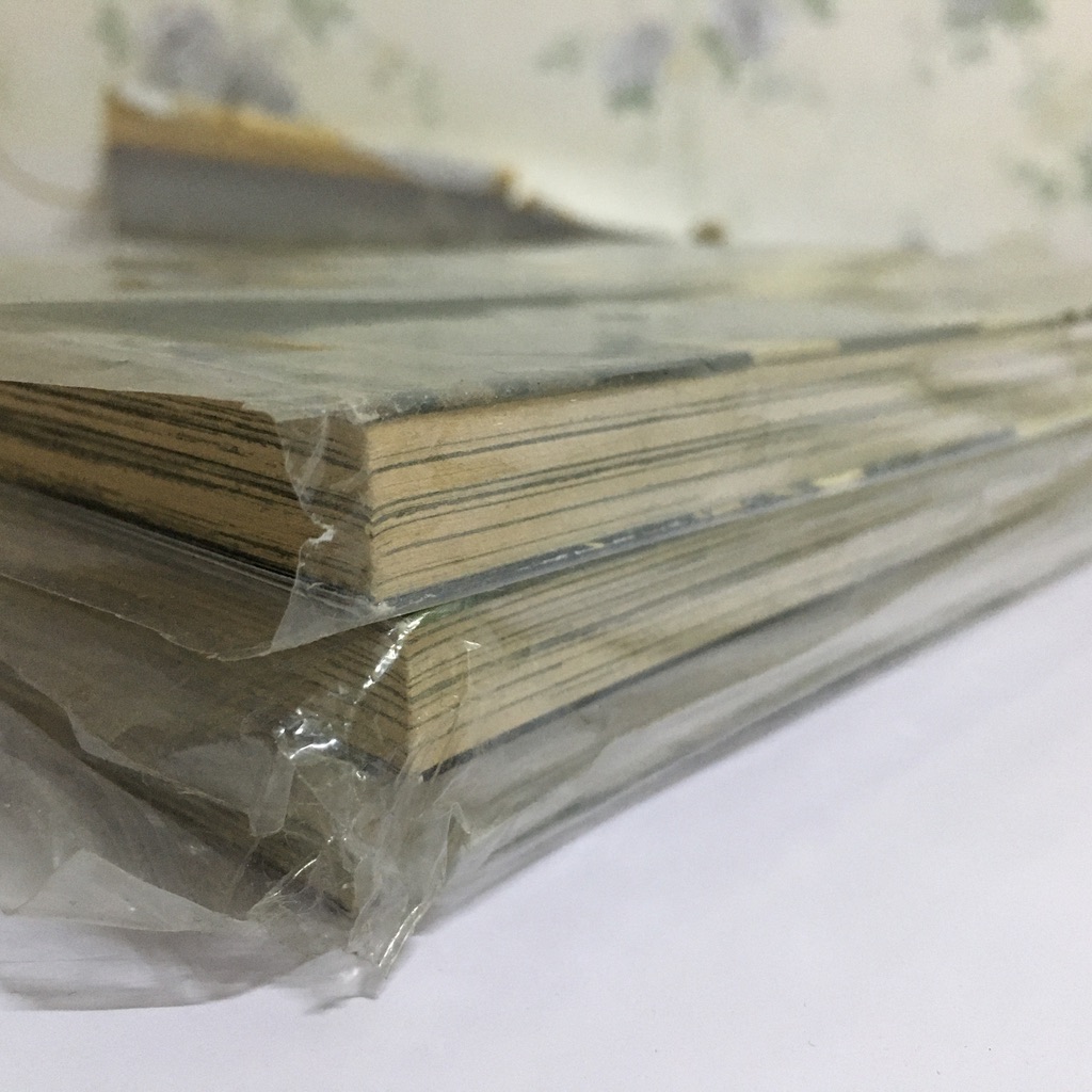 ILEGENES อิลิเจเนส ภาคซิมโฟนีแห่งปีกมารยา เล่ม 1-3 (จบ)