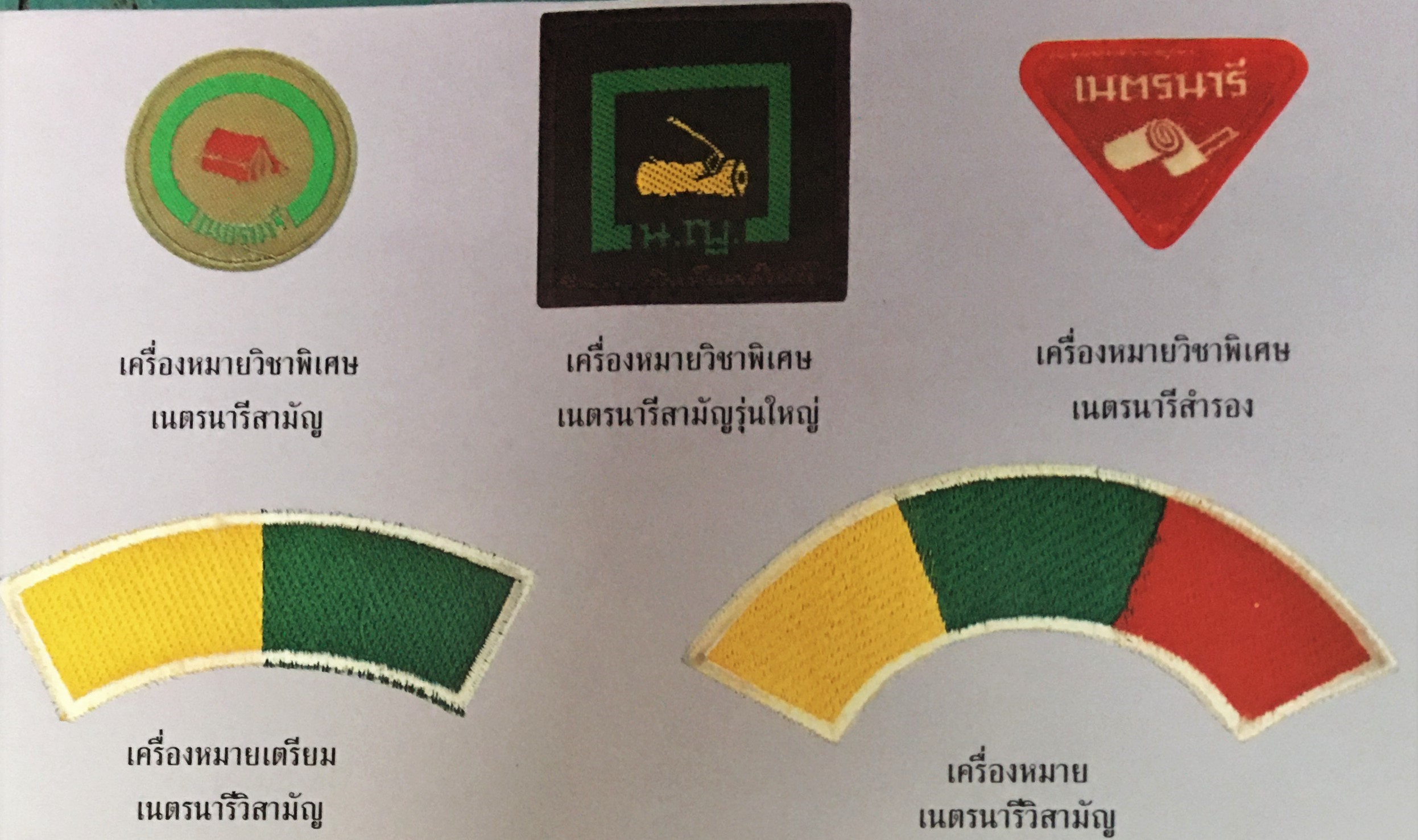 เครื่องหมายวิชาพิเศษ