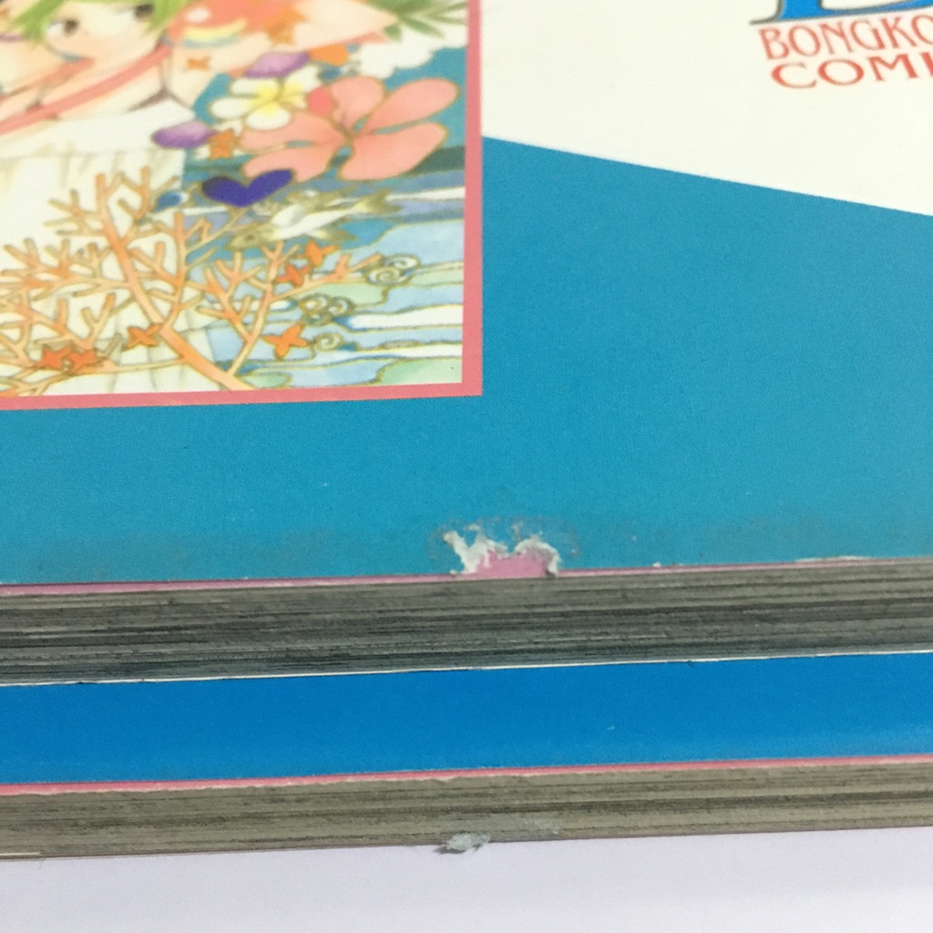 เรื่องวุ่นๆ ในเมืองแห่งสีสัน เล่ม 1-6 (จบ)