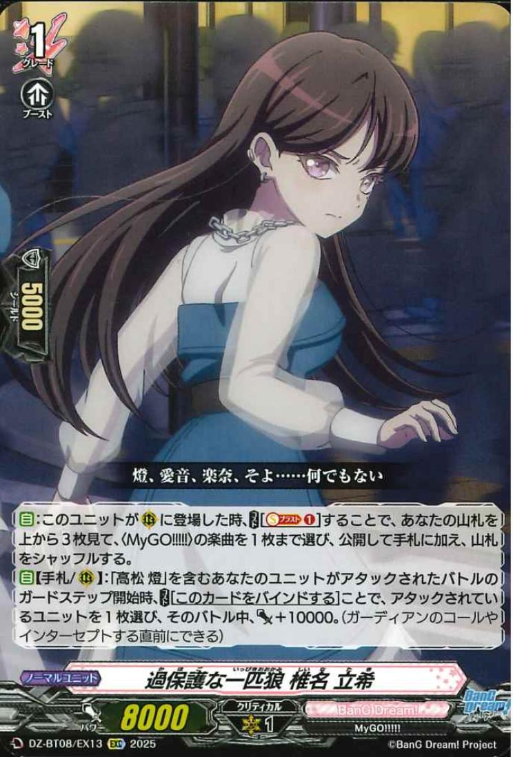 DZ-BT08/EX13