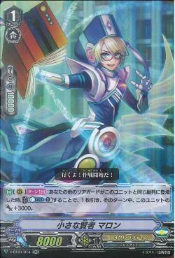 V-BT01/014 Little sage Marron RR