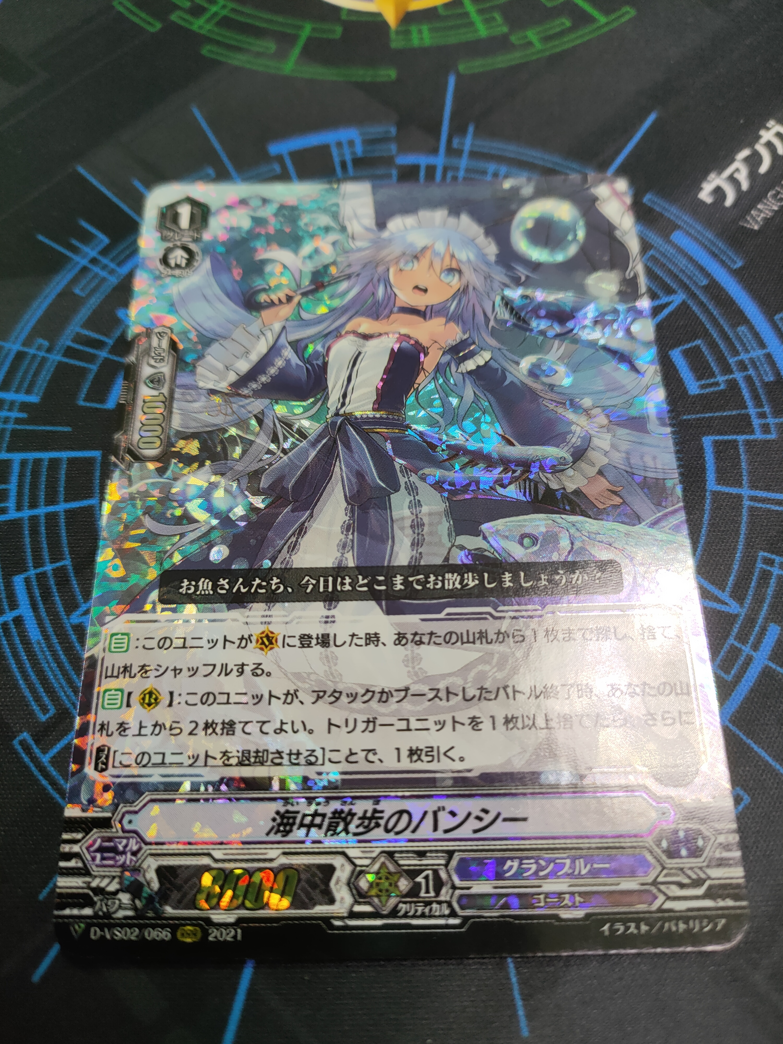 D-VS02/066 Sea Strolling Banshee