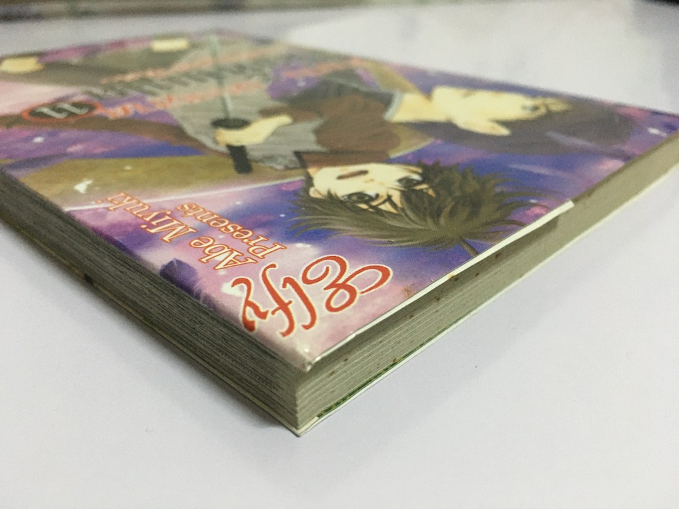 ตำนานประหลาดสุนัขทั้งแปด ~แห่งบูรพาทิศ~ เล่ม 11