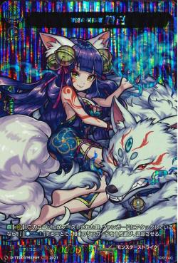 D-TTD03/MSR09