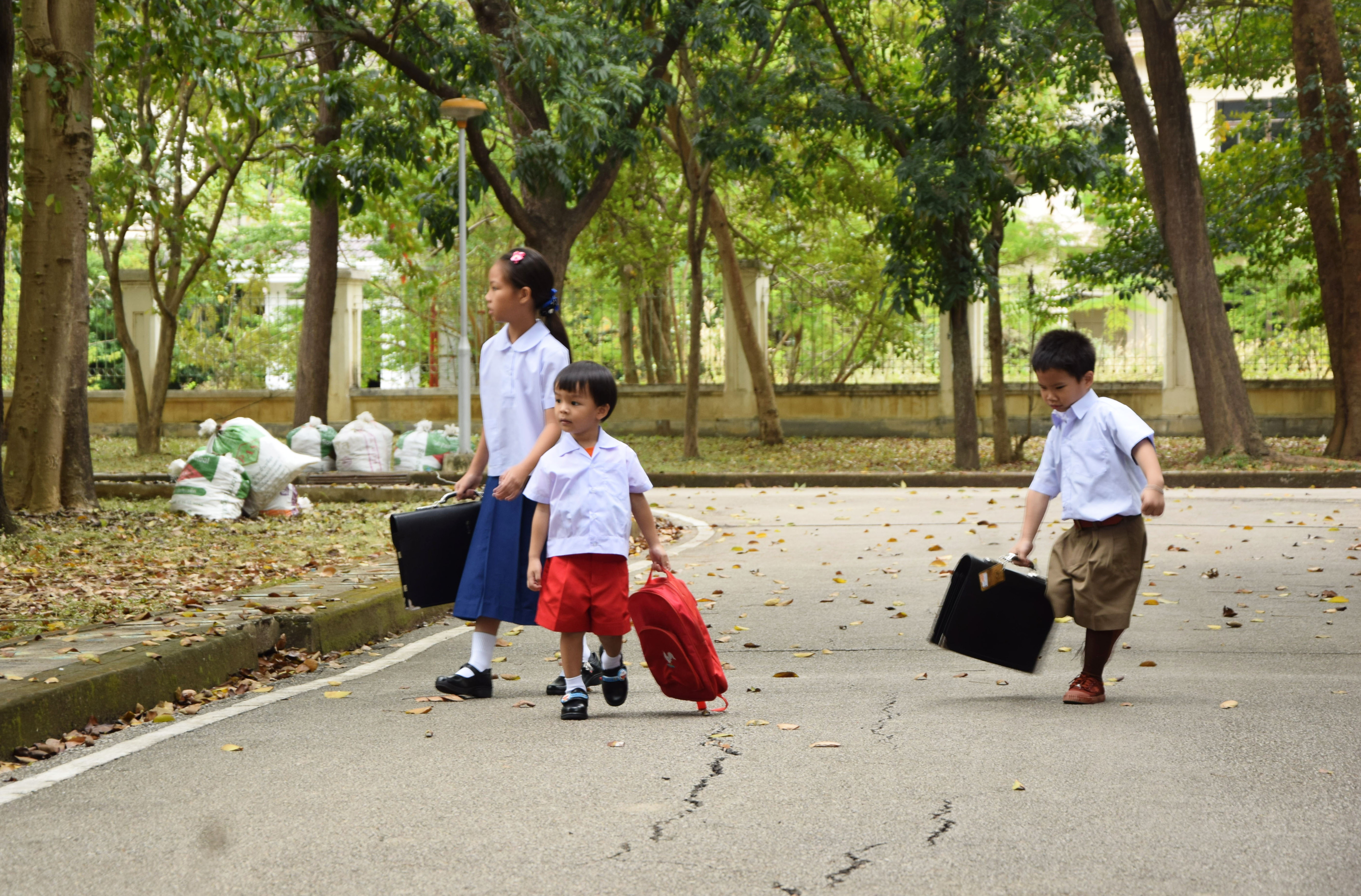 เสื้ออนุบาลนักเรียนชาย เสื้อนักเรียนชายอนุบาล แขนสั้น คอฮาวาย เอวบ๊อบ