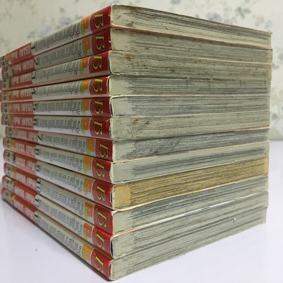 รักวุ่นวาย นายตัวแสบ เล่ม 1-12 (จบ)