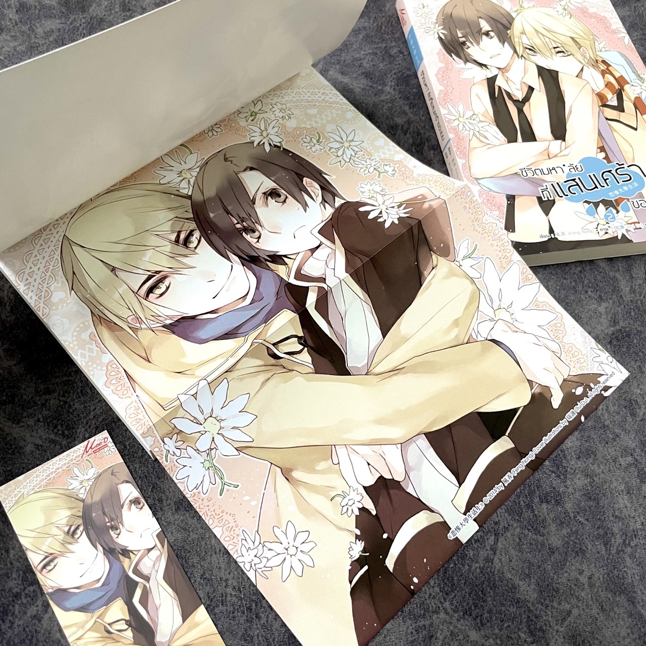 *มือสองขีดสัน* ชีวิตมหาลัยที่แสนเศร้าของผม เล่ม 1-2 (จบ)