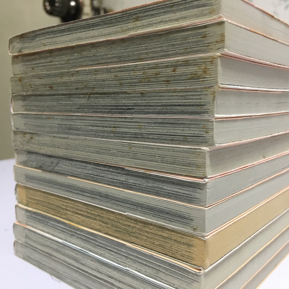 รักวุ่นวาย นายตัวแสบ เล่ม 1-12 (จบ)