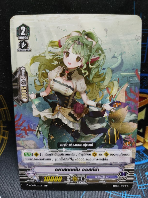 V-EB05/033TH C คลาสเซซชั่น ออสทีน่า