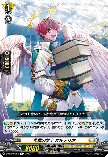 D-BT10/085 Organized bachelor Alderio C