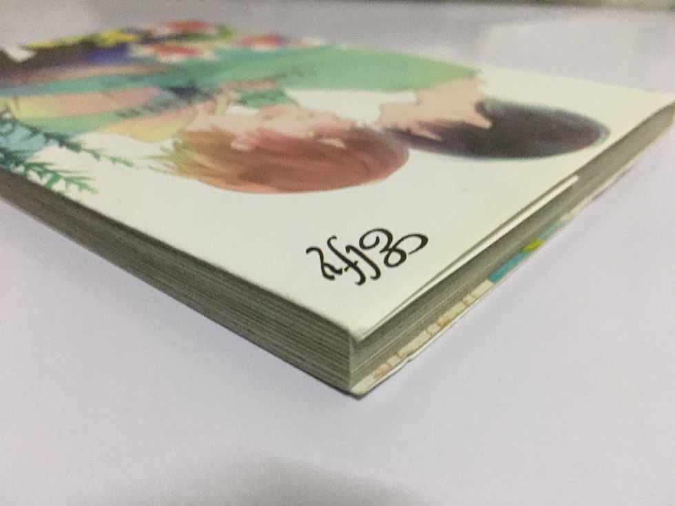 The Vanilla Rain เดอะวานิลลา เรน (เล่มเดียวจบ)