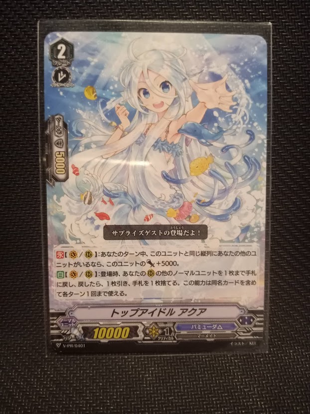 V-PR/0401