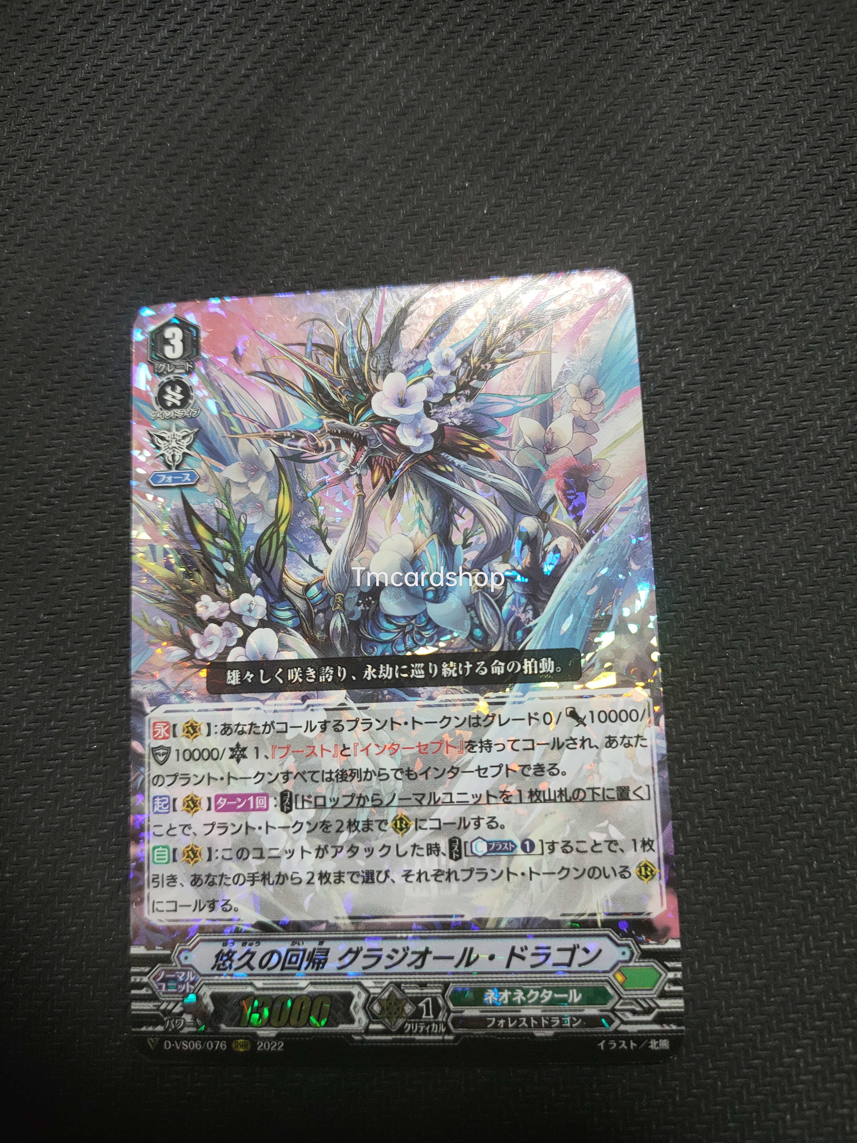 D-VS06-076 Eternal regression Gladiol dragon