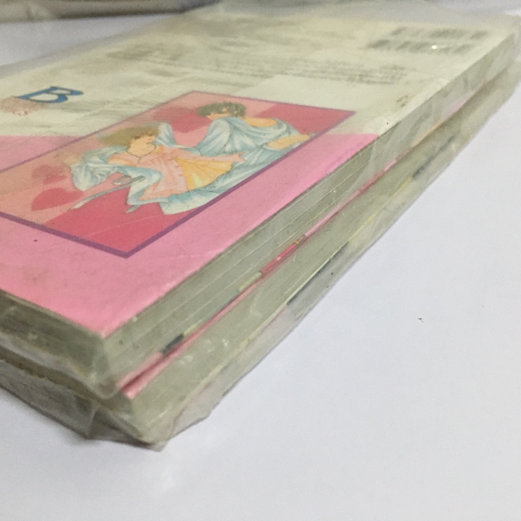 ซุปเปอร์สตาร์คว้ารัก เล่ม 1-2 (จบ)