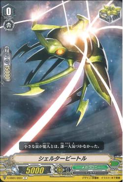 V-EB01/063 Shelter beetle C