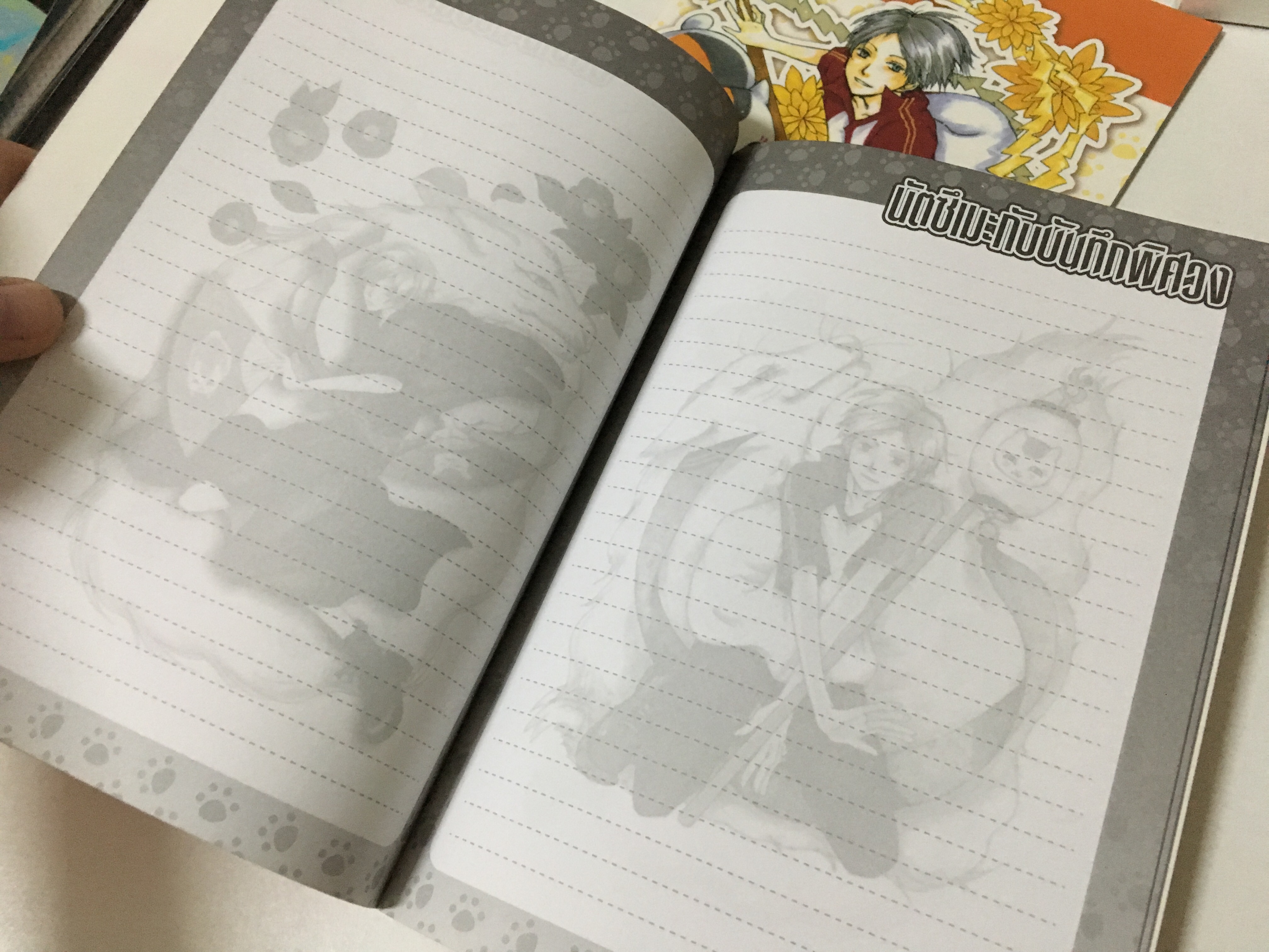 สมุดโน้ตนัตซึเมะกับบันทึกพิศวง 2 เล่ม