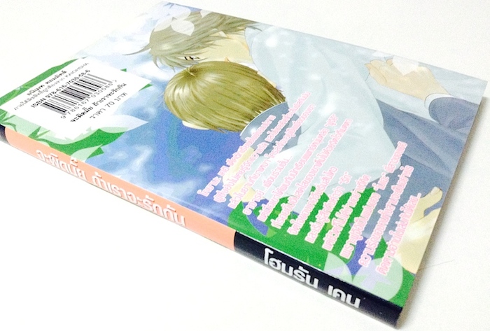 จะผิดมั๊ย ถ้าเราจะรักกัน