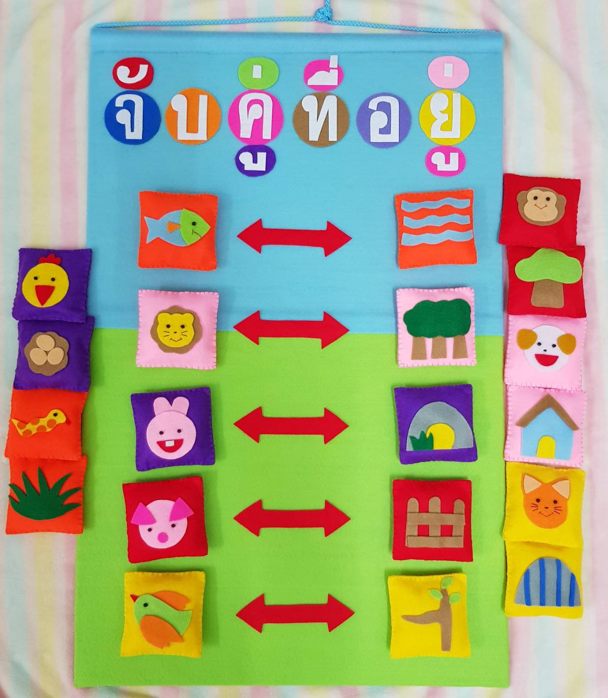 wall back จับคูู่สัตว์กับที่อยู่อาศัย