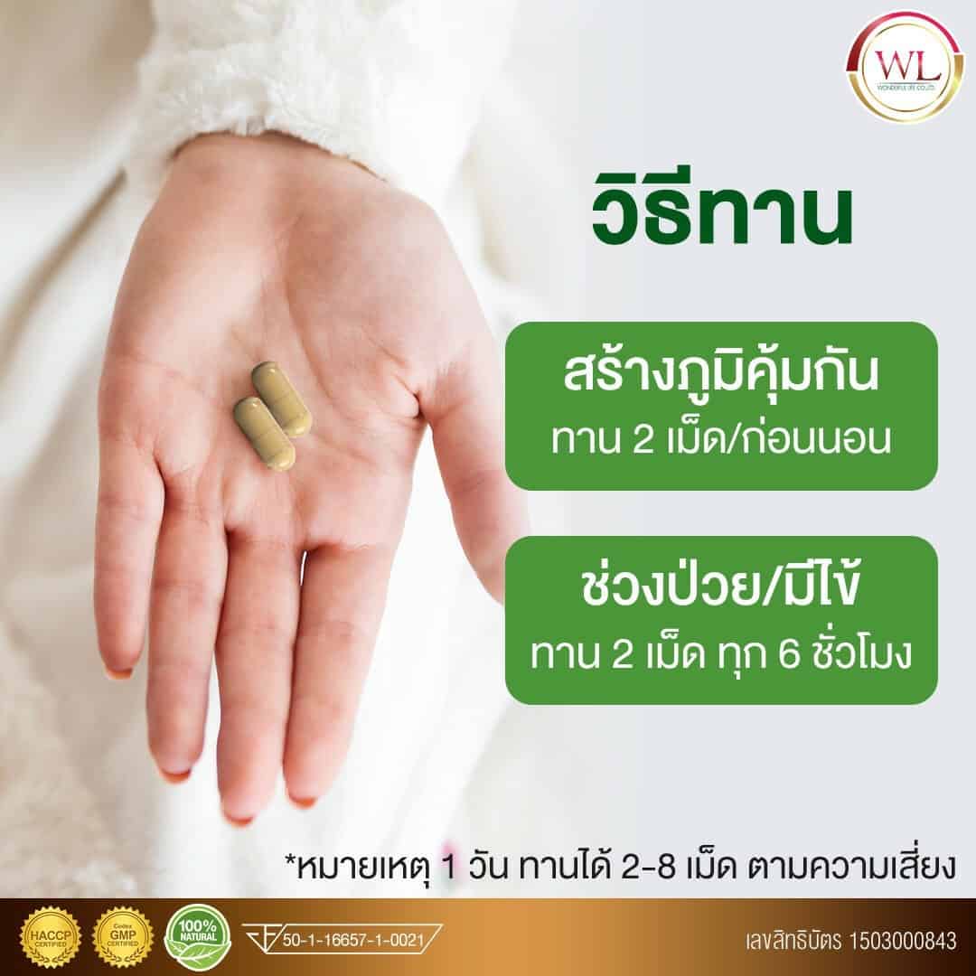 EX พลูคาว เสริมภูมิคุ้มกัน สู้ภัยโควิด-19 สมุนไพรพลูคาว ต้านไวรัส
