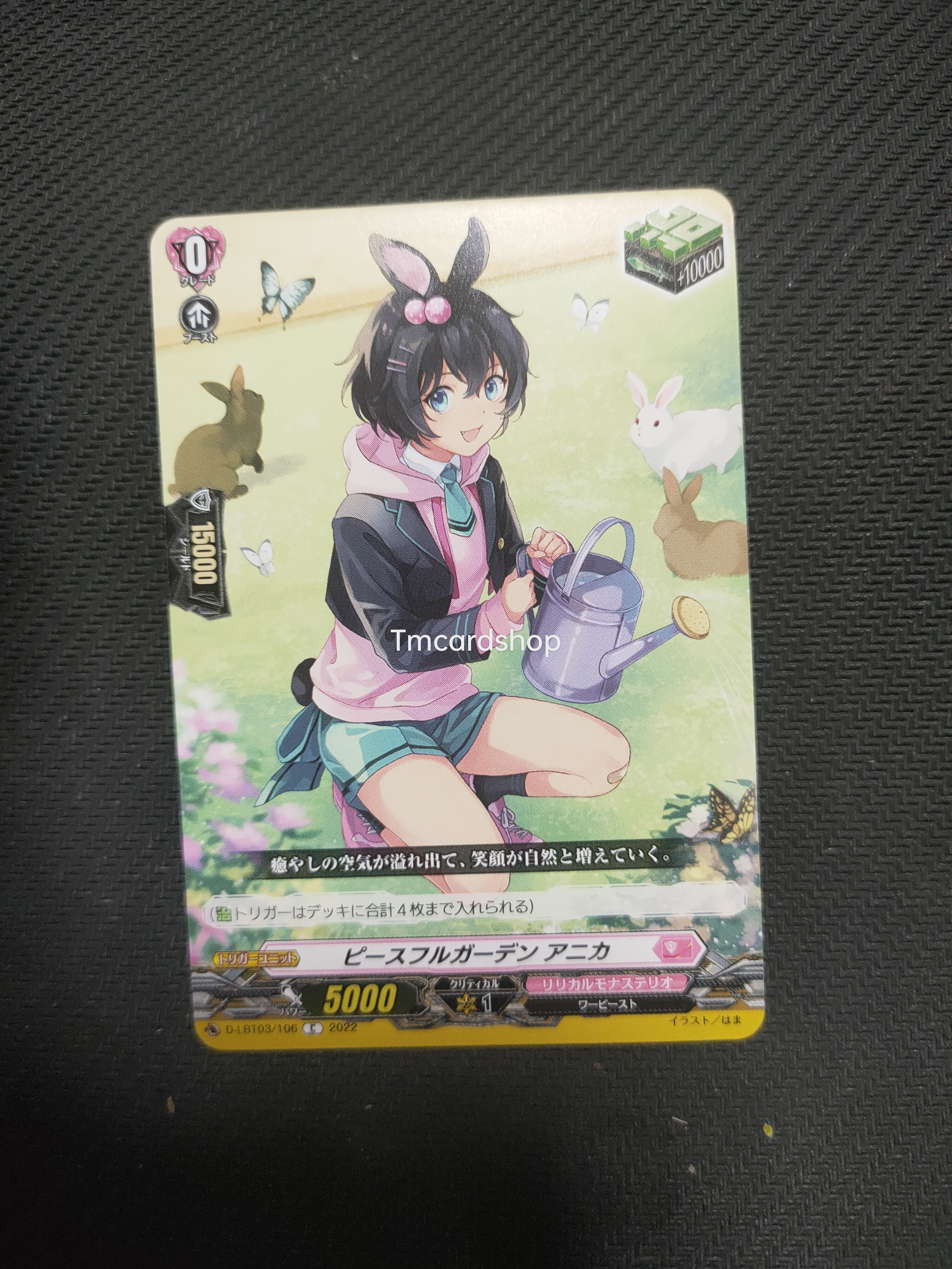 D-LBT03/106 Peaceful garden Anika C