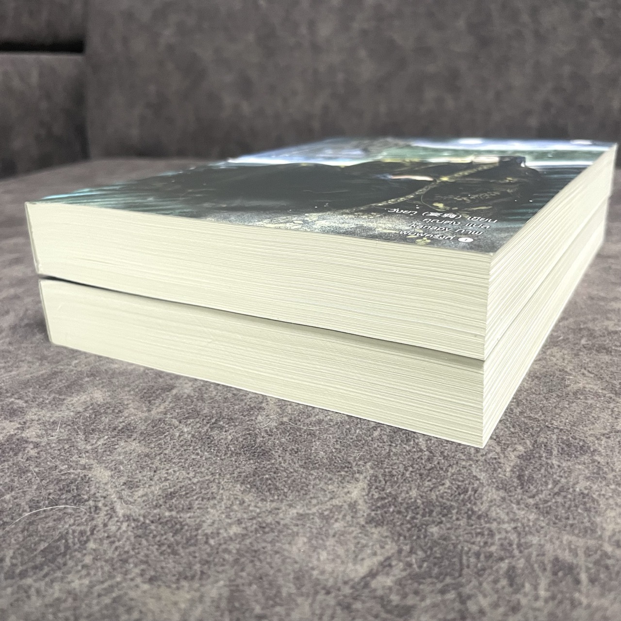 *มือสองมีตำหนิ พิมพ์หนึ่ง* เบื้องบาทข้า ใต้หล้าล้วนสยบ เล่ม 1-2 (จบ) + ป้ายยุทธภพใต้หล้าล้วนสยบ + การ์ดลายเซ็นนักเขียน