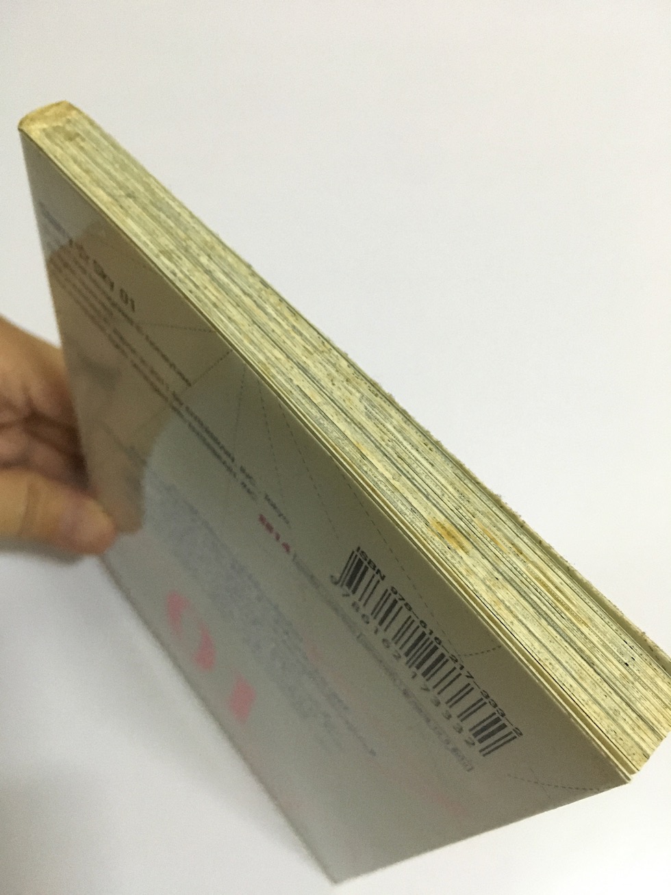 Starry Sky เล่ม 1