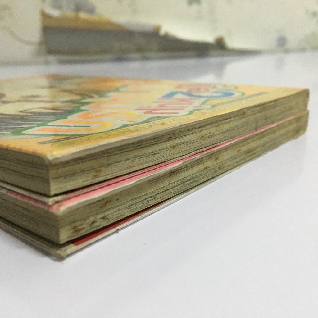 เมื่อ 2 หนุ่มมารุมรัก เล่ม 1-2 (จบ)